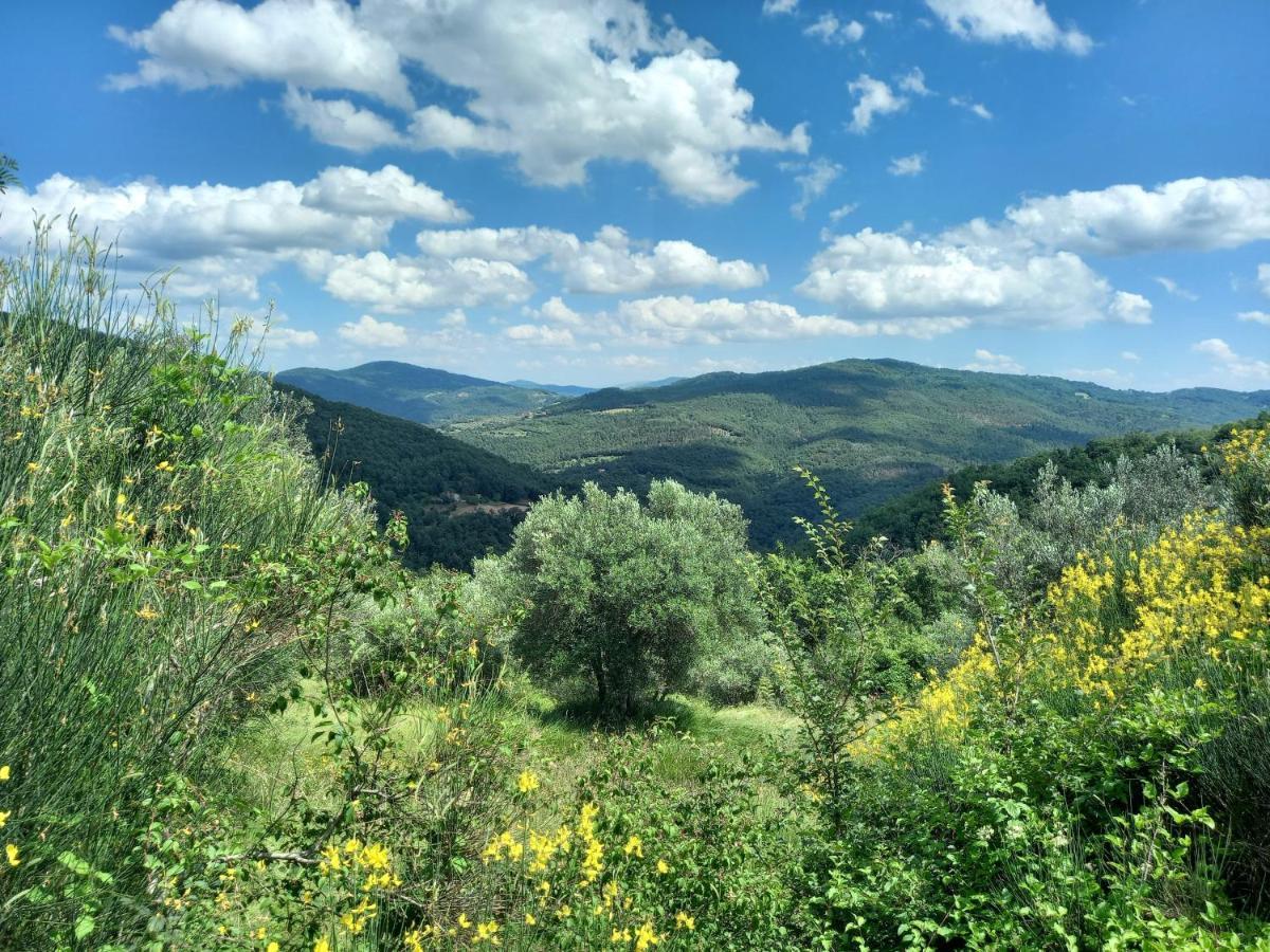 Valle Dame Cortona Bagian luar foto