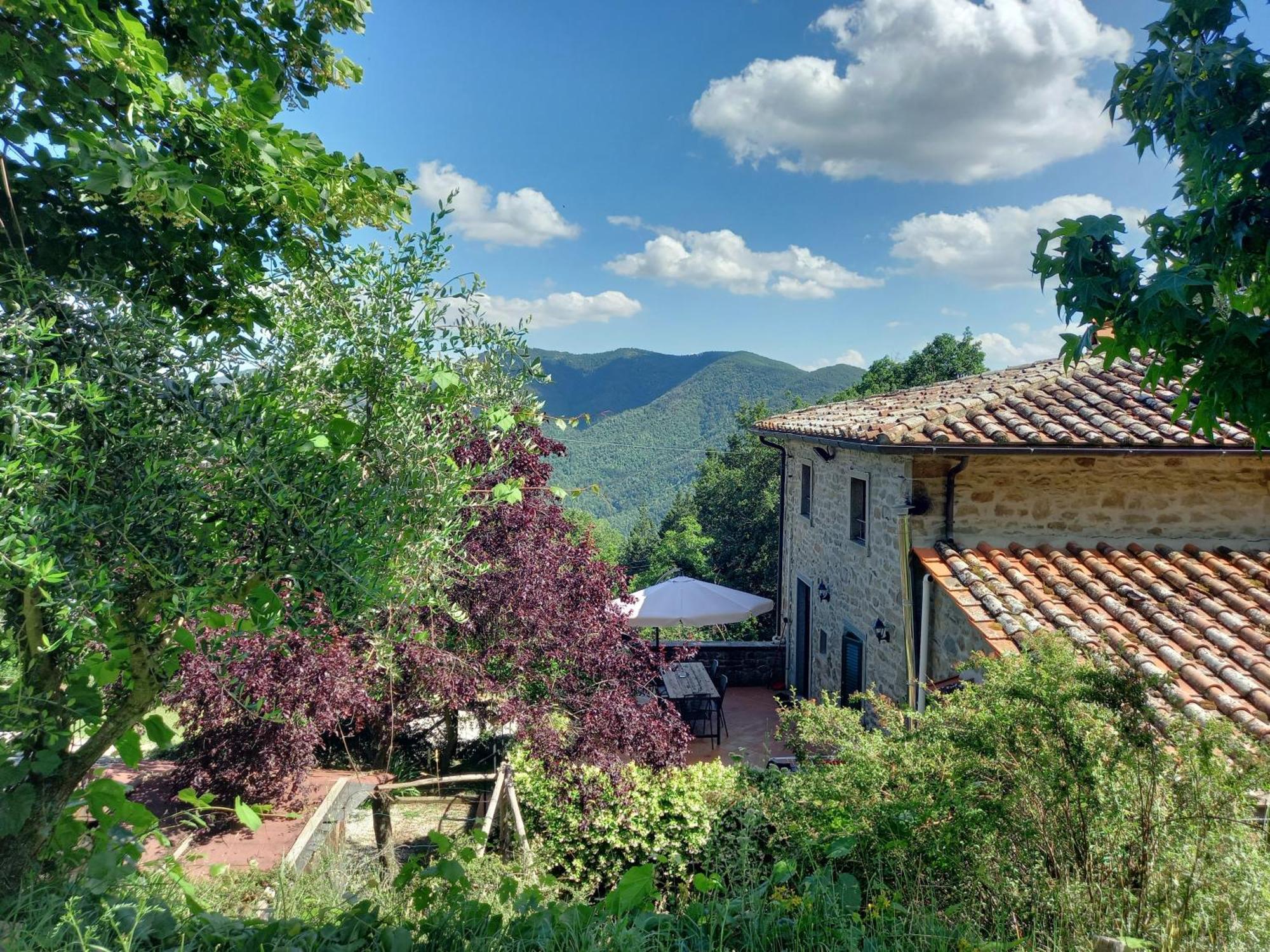 Valle Dame Cortona Bagian luar foto