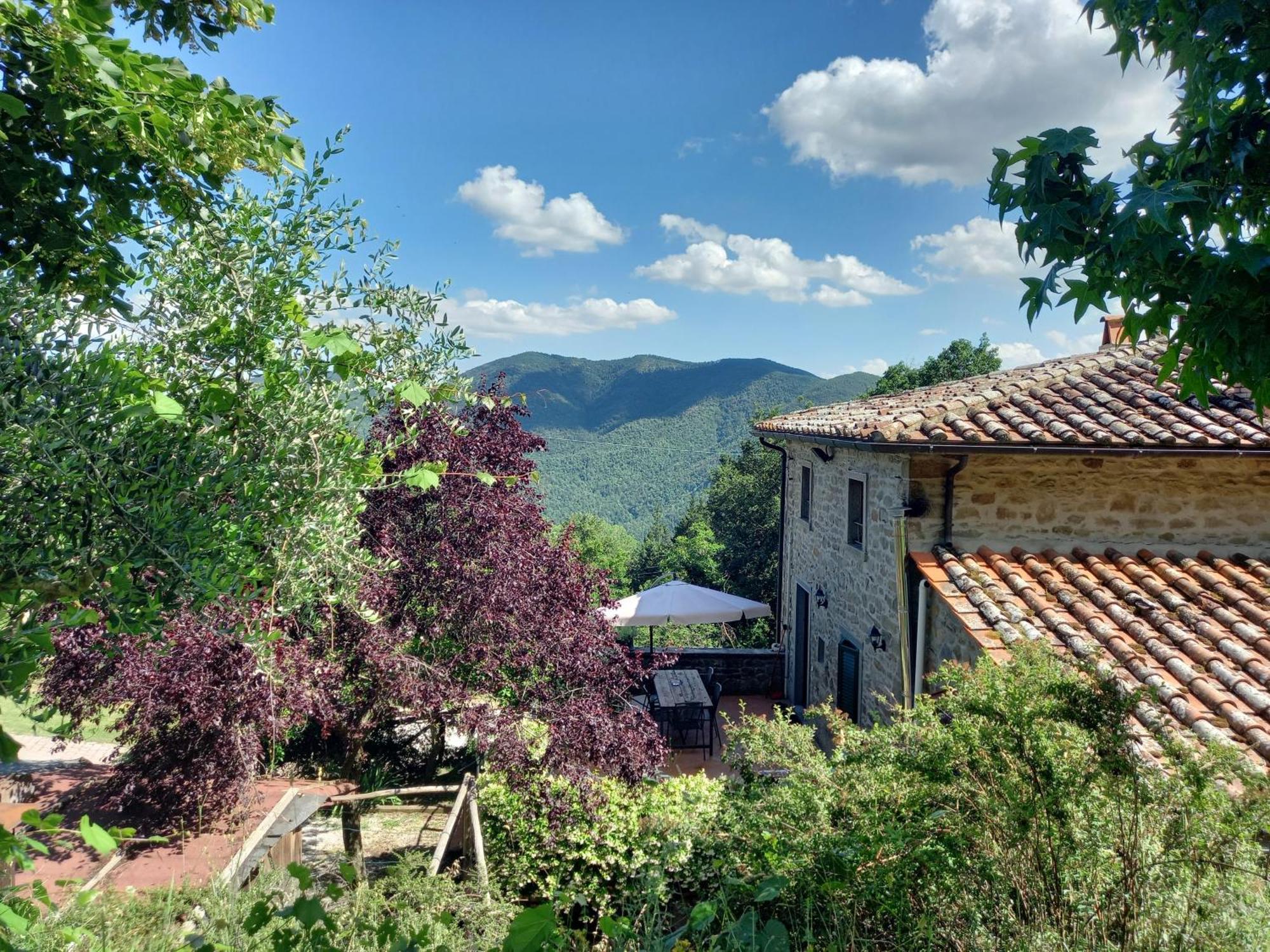 Valle Dame Cortona Bagian luar foto