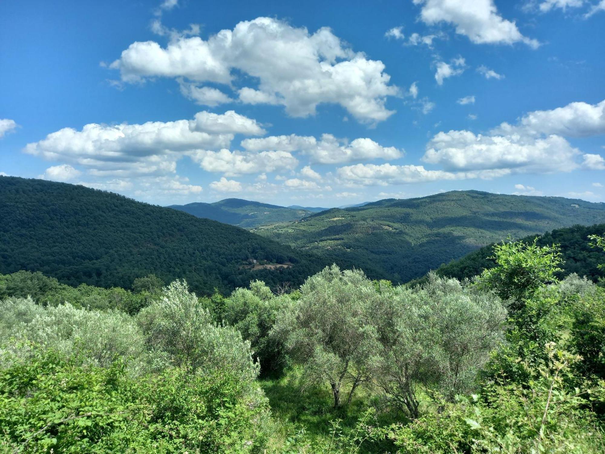 Valle Dame Cortona Bagian luar foto