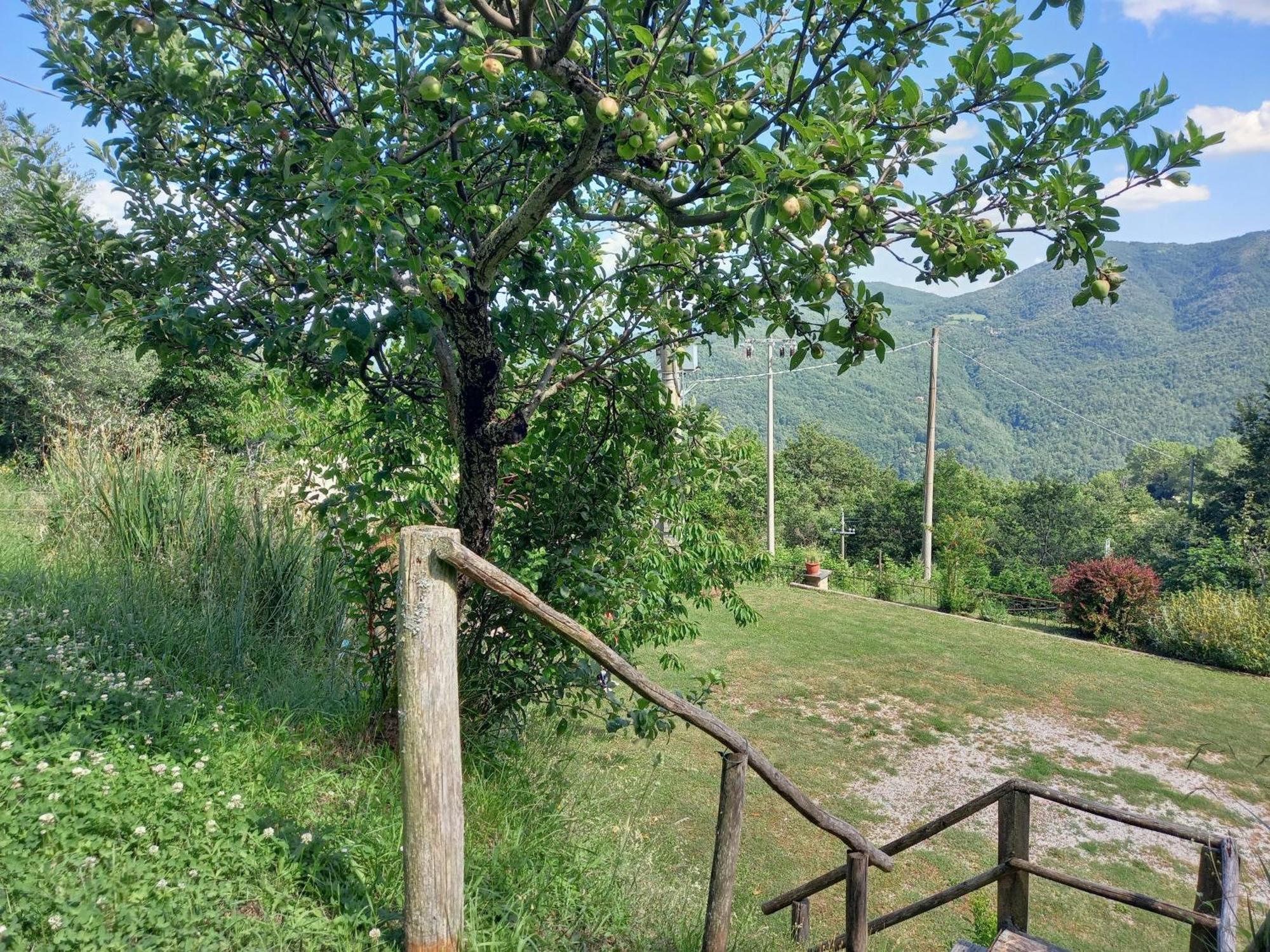 Valle Dame Cortona Bagian luar foto