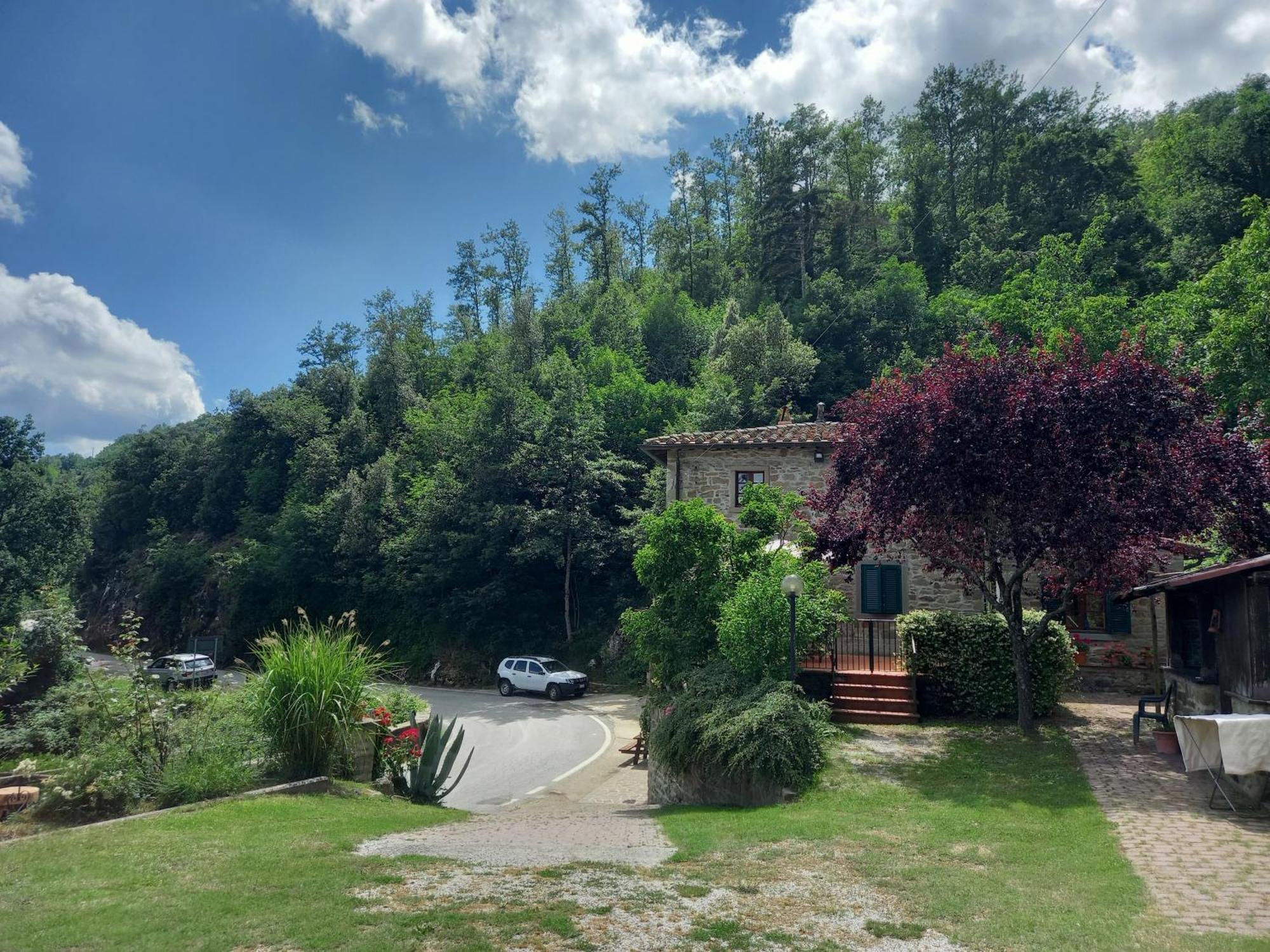 Valle Dame Cortona Bagian luar foto